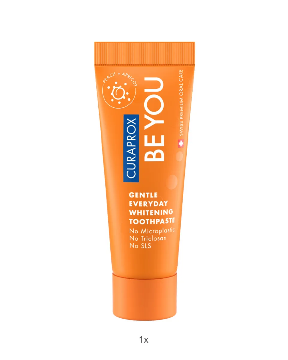 Blue Travel Toothbrush Set