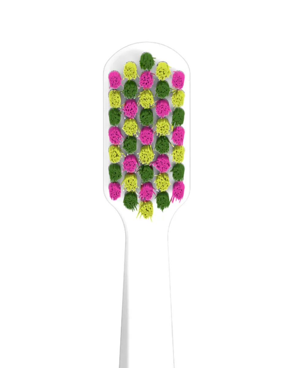 Toothbrush CS 5460 Summer Edition