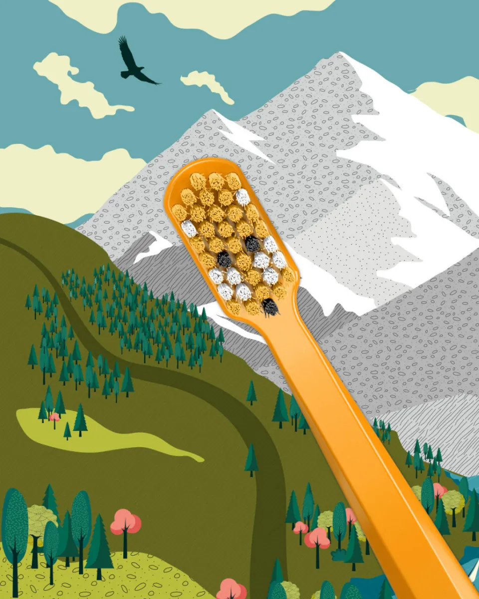 Toothbrush CS 5460 Fox & Bunny | Curaprox