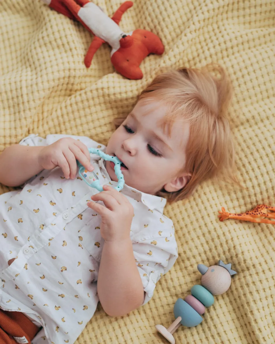 Baby Teething Ring Baby Teething Ring