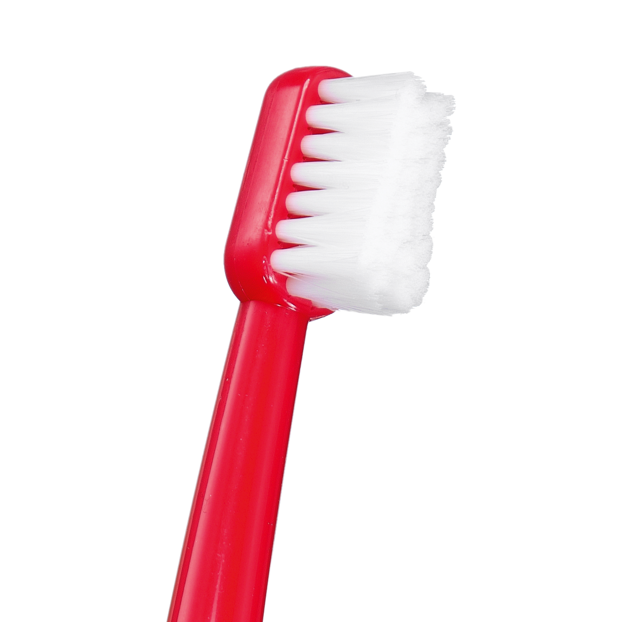 Productshot_Toothbrush_CS_Surgical_closeup