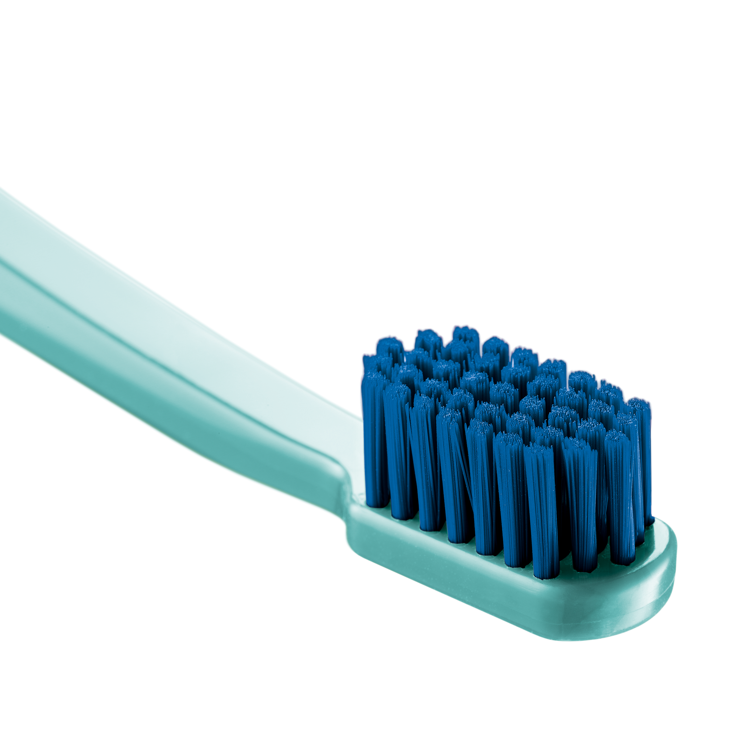 73327160_Productshot_Toothbrush_CS1560_Turquoise_Blue_Head_Side