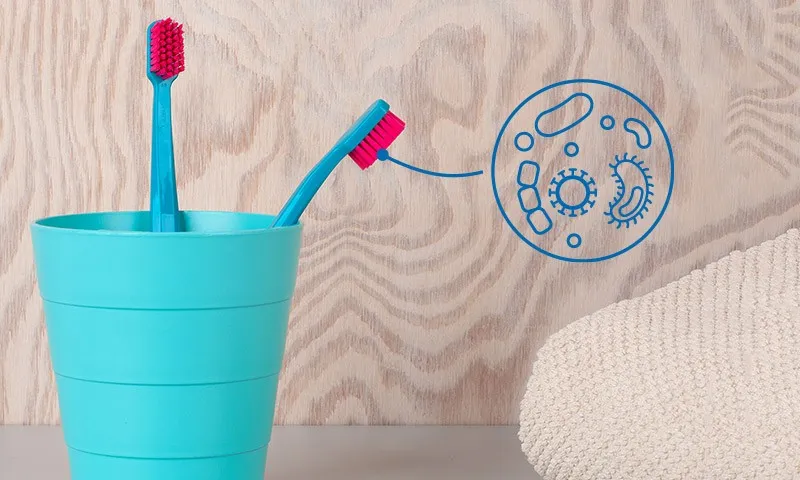 How often should you replace your toothbrush?